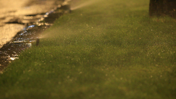 Water Spraying Grass Water Spraying Grass
