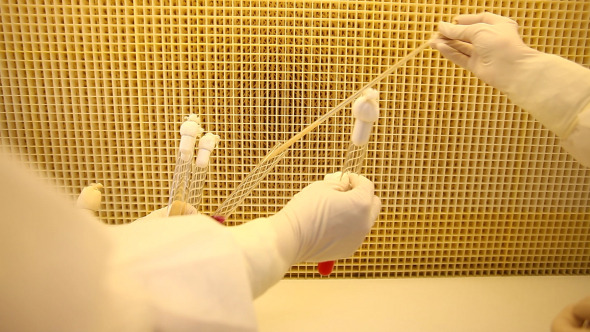 Lab Experiments In Tubes Pack of 3 Lab Experiments In Tubes Pack of 3