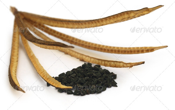 Jute seeds (Misc) Photo Download