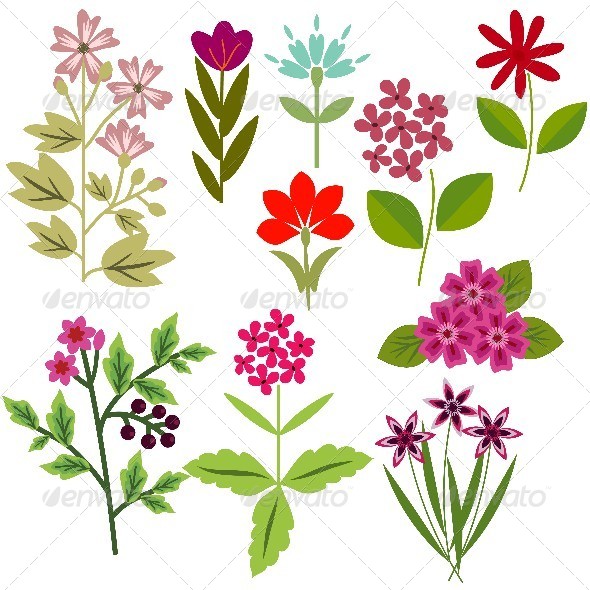 GraphicRiver Flowers Set 8416346 GraphicRiver Flowers Set 8416346