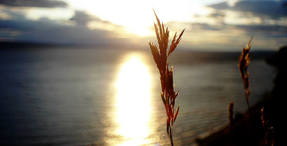 Sunset Over The River 5 Sunset Over The River 5