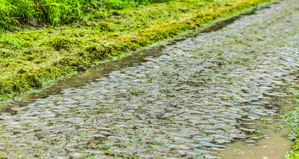 Cobbled Road in a Rainy Day - Stock Photo - Images