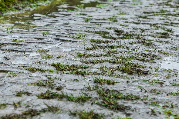Detail of Cobbled Road in a Rainy Day - Stock Photo - Images