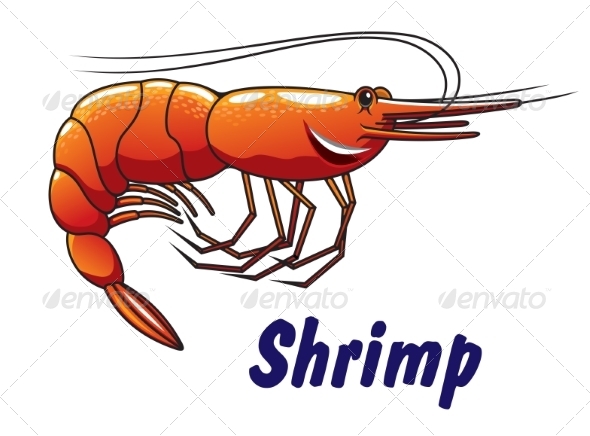 Shrimp Shrimp