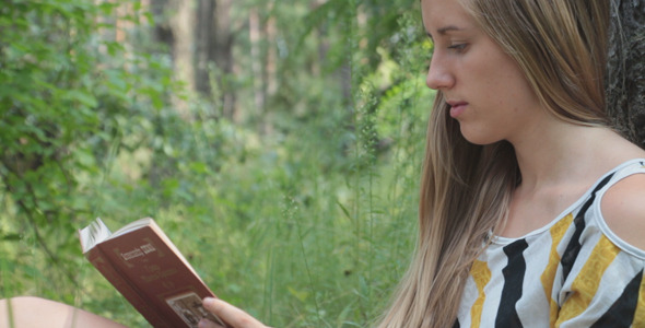 Girl Reading a Book in The Forest Girl Reading a Book in The Forest