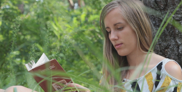 Girl Reading a Book in The Forest 2 Girl Reading a Book in The Forest 2