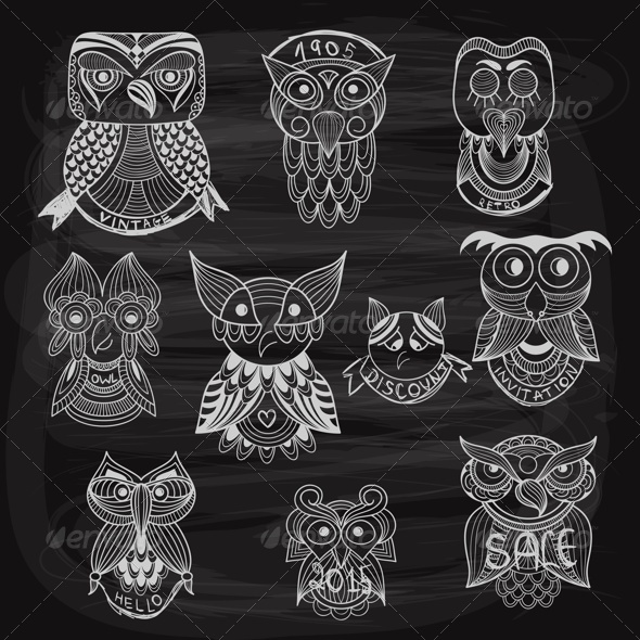 GraphicRiver 10 Chalk Drawn Owls on Blackboard 8429615 GraphicRiver 10 Chalk Drawn Owls on Blackboard 8429615