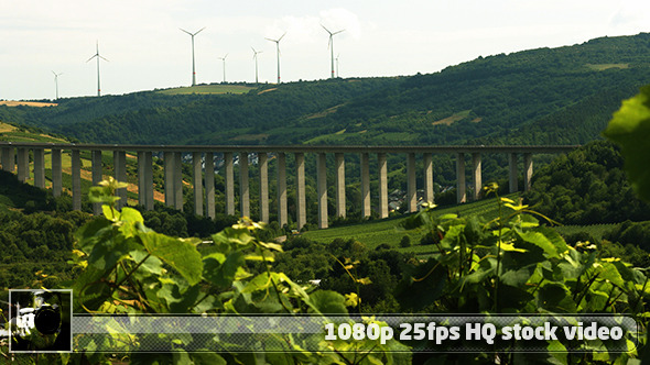 Moselle Valley Wineyard 4 Moselle Valley Wineyard 4