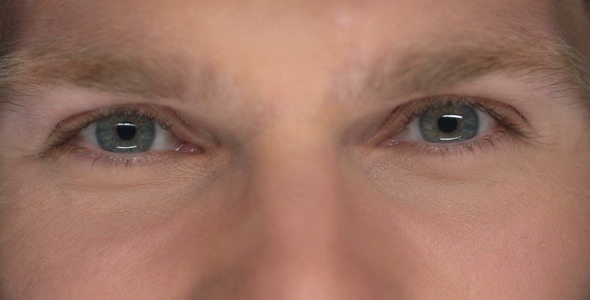 Cunning Look Cunning Look