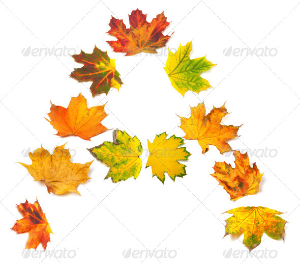 Letter A composed of autumn maple leafs (Misc) Photo Download