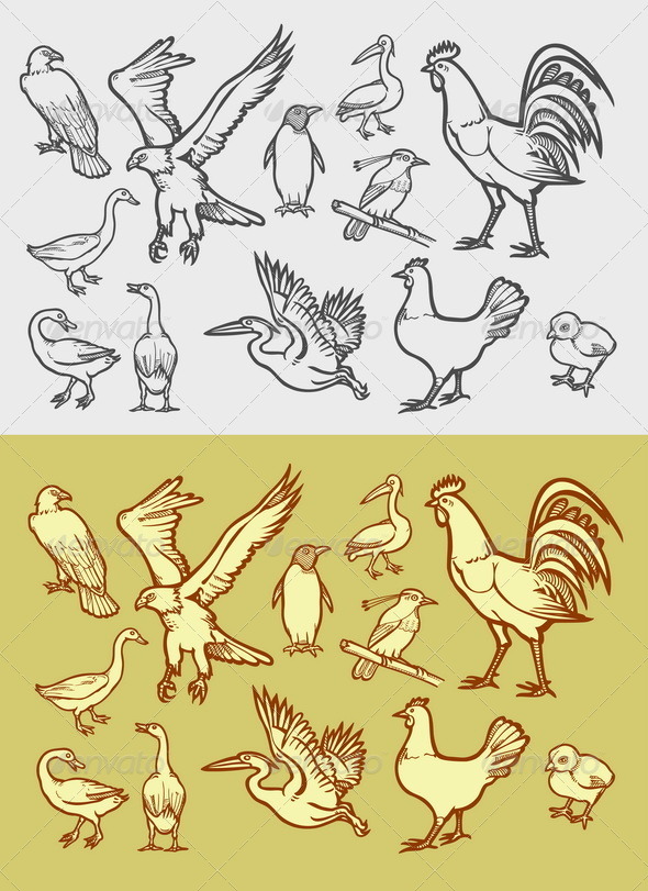 GraphicRiver Poultry Icons Sketch 8468501 GraphicRiver Poultry Icons Sketch 8468501
