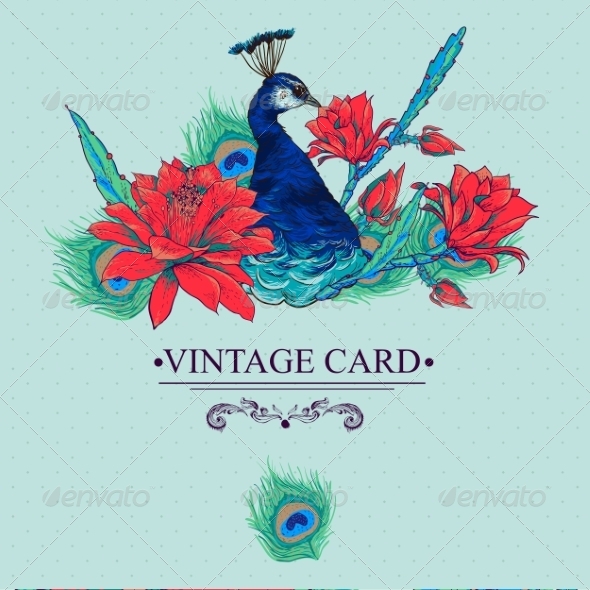 GraphicRiver Floral Vector Vintage Card with Peacock 8469139 GraphicRiver Floral Vector Vintage Card with Peacock 8469139