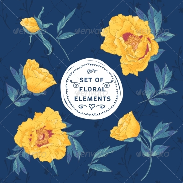 GraphicRiver Set of Floral Design Elements 8469165 GraphicRiver Set of Floral Design Elements 8469165