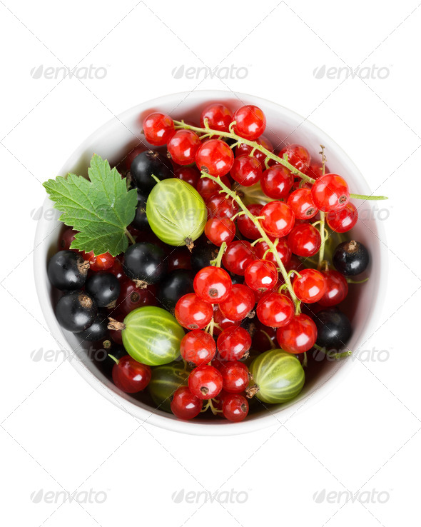 Fresh currants berries in bowl (Misc) Photo Download