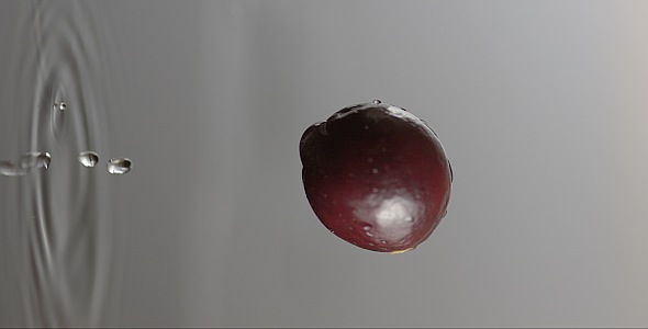 VideoHive Cranberry is Falling on a Wet Surface 9846993 VideoHive Cranberry is Falling on a Wet Surface 9846993