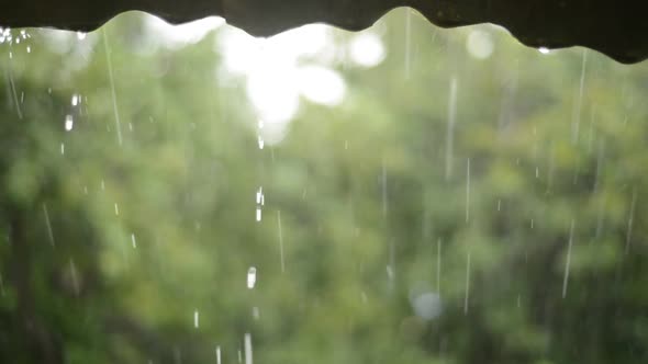 Movement Of Rainy Clouds On a Mountain - 1