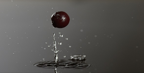 VideoHive Cranberry is Falling on a Wet Surface 9835474 VideoHive Cranberry is Falling on a Wet Surface 9835474