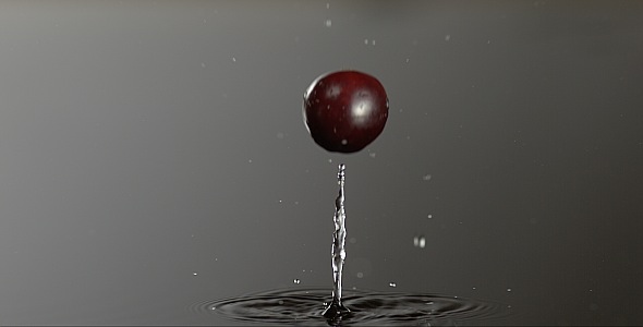 VideoHive Cranberry is Falling on a Wet Surface 9832304 VideoHive Cranberry is Falling on a Wet Surface 9832304