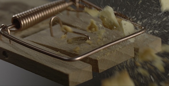 VideoHive Cracker is Falling on a Mousetrap 9842979 VideoHive Cracker is Falling on a Mousetrap 9842979